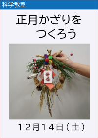 科学教室「正月かざりをつくろう」