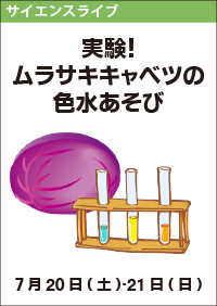 サイエンスライブ「実験！ムラサキキャベツの色水あそび」