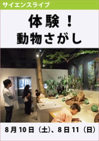 サイエンスライブ「体験！動物さがし」