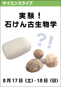 サイエンスライブ「実験！石けん古生物学」