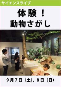 サイエンスライブ「体験！動物さがし」