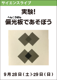 サイエンスライブ「実験！偏光板であそぼう」