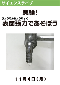 サイエンスライブ「実験！表面張力で遊ぼう」