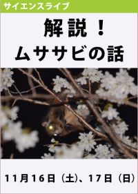 サイエンスライブ「解説！ムササビの話」