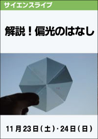サイエンスライブ「解説！偏光のはなし」