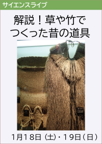 サイエンスライブ「解説！草や竹でつくった昔の道具」