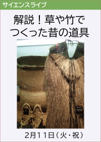 サイエンスライブ「解説！草や竹でつくった昔の道具」