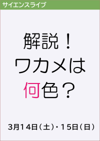 サイエンスライブ「解説！ワカメは何色？」