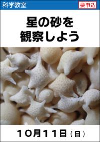 科学教室「星の砂を観察しよう」