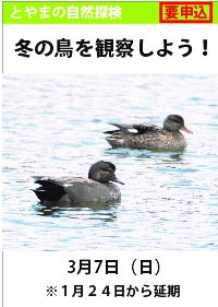 とやまの自然探検「冬の鳥を観察しよう！」