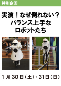 実演！なぜ倒れない？バランス上手なロボットたち