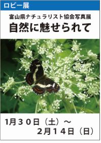 ロビー展「富山県ナチュラリスト協会写真展」