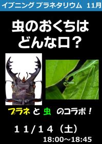 イブニングプラネタリウム「虫のおくちはどんな口？」