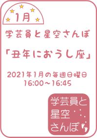 1月の学芸員と星空さんぽ「丑年におうし座」