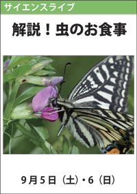 サイエンスライブ「解説！虫のお食事」