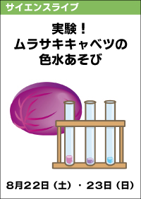 サイエンスライブ「解説！ムラサキキャベツの色水あそび」