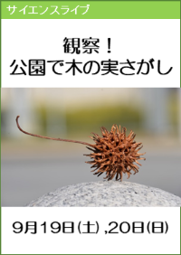 サイエンスライブ「解説！公園で木の実さがし」