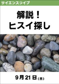 サイエンスライブ「解説！ヒスイ探し」