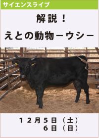 サイエンスライブ「解説！えとの動物ーウシー」