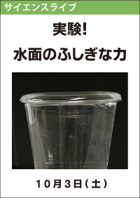 サイエンスライブ「実験！水面のふしぎな力」