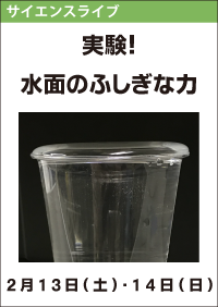 サイエンスライブ「実験！水面のふしぎな力」