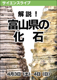 サイエンスライブ「解説！富山県の化石」