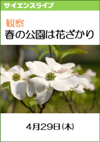 サイエンスライブ「解説！春の公園は花ざかり」