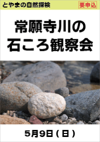 とやまの自然探検「常願寺川の石ころ観察会」