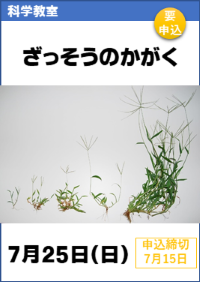 科学教室「ざっそうのかがく」