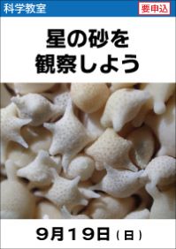 科学教室「星の砂を観察しよう」