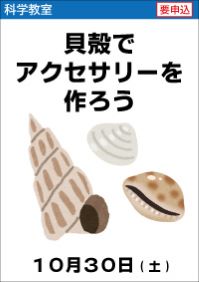 科学教室「貝殻でアクセサリーを作ろう」