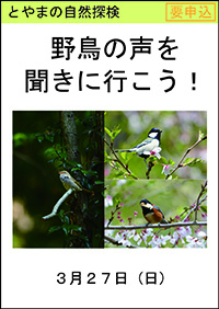 とやまの自然探検「野鳥の声を聞きに行こう！」