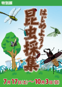 特別展「はじめよう！昆虫採集」