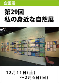 第29回「私の身近な自然展」