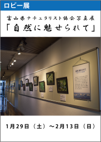 ロビー展「富山県ナチュラリスト協会写真展」