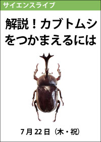 サイエンスライブ「解説！カブトムシをつかまえるには」