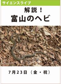 サイエンスライブ「解説！富山のヘビ」