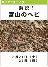 サイエンスライブ「解説！富山のヘビ」