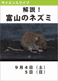 サイエンスライブ「解説！富山のネズミ」