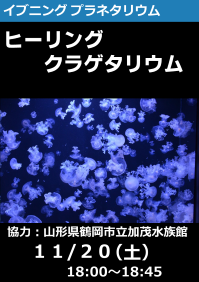 イブニングプラネタリウム「ヒーリングクラゲタリウム」