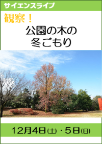 サイエンスライブ「観察！公園の木の冬ごもり」