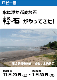 ロビー展「水に浮かぶ変な石　軽石がやってきた！」