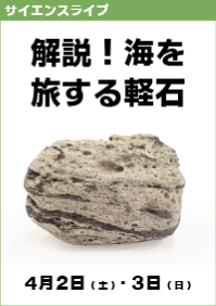 サイエンスライブ「解説！海を旅する軽石」