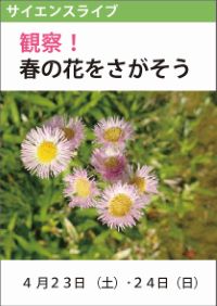 サイエンスライブ「観察！春の花をさがそう」