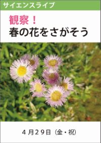 サイエンスライブ「観察！春の花をさがそう」