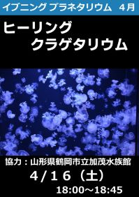 イブニングプラネタリウム「ヒーリングクラゲタリウム」