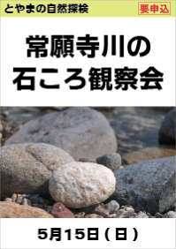 とやまの自然探検「常願寺川の石ころ観察会」