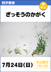 科学教室「ざっそうのかがく」