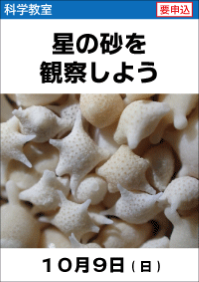 科学教室「星の砂を観察しよう」