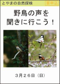 とやまの自然探検「野鳥の声を聞きに行こう！」